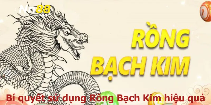 Bí quyết sử dụng Rồng Bạch Kim hiệu quả