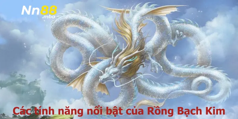 Các tính năng nổi bật của Rồng Bạch Kim