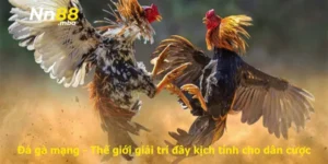 Đá gà mạng - Thế giới giải trí đầy kịch tính cho dân cược