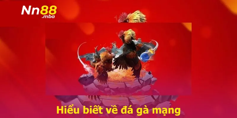 Hiểu biết về đá gà mạng