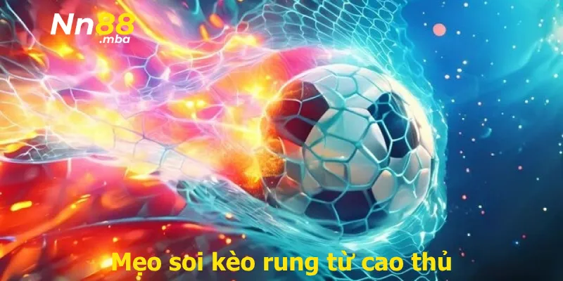 Mẹo soi kèo rung từ cao thủ