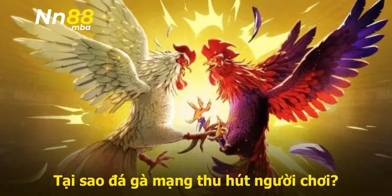 Tại sao đá gà mạng thu hút người chơi?