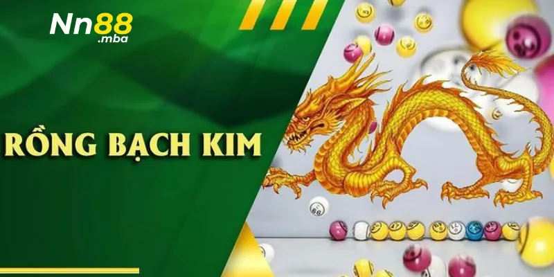 Tổng quan về Rồng Bạch Kim
